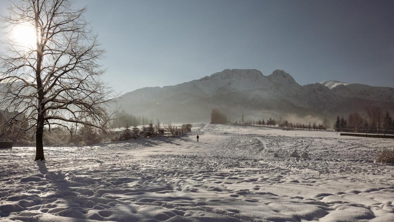 Dom Pod Lipkami Zakopane Exterior foto